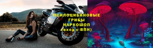 скорость Туринск